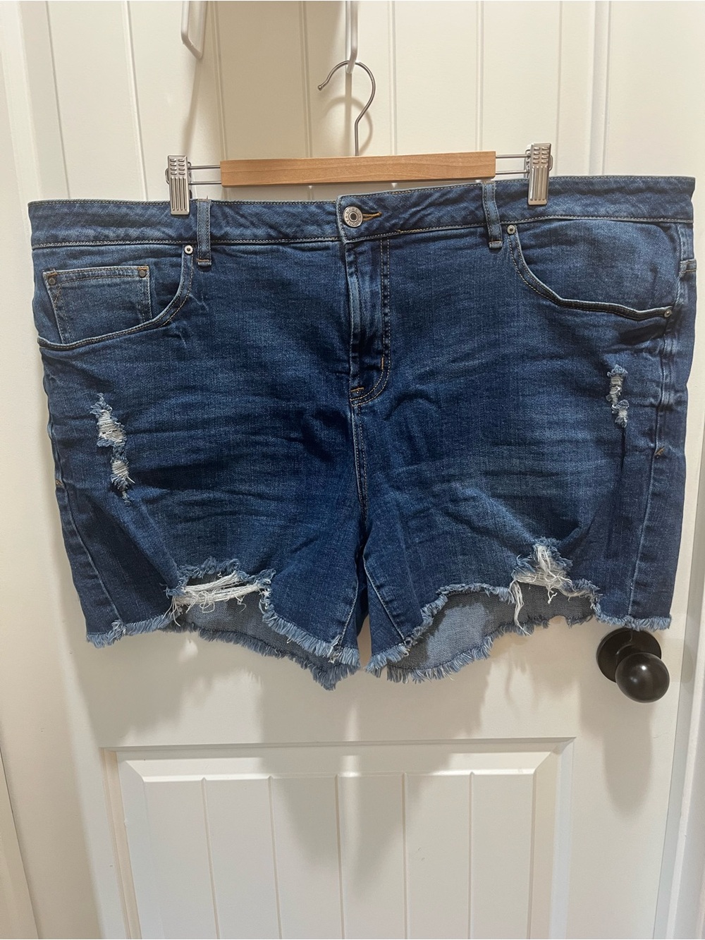 Rebel Wilson x Angels Plus Size Distressed Medium Wash Blue Denim Shorts - 22W